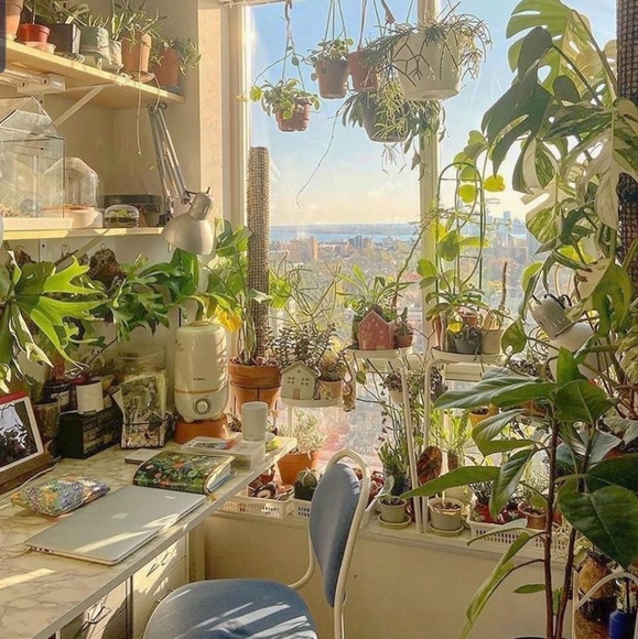 Meet your Posher, Missy - Picture 4 of 4